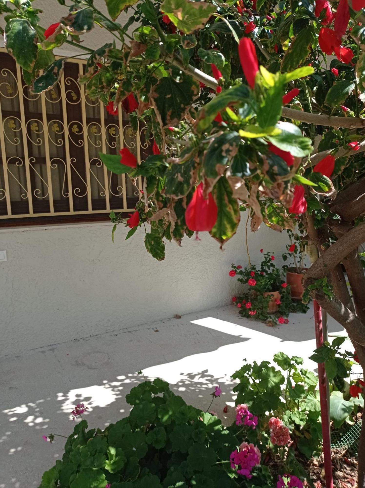 Tasos Seagull Apartments Chrissi Akti Chania Exterior foto